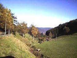 Waldgasthof Altersbach Waldkirch Ngoại thất bức ảnh